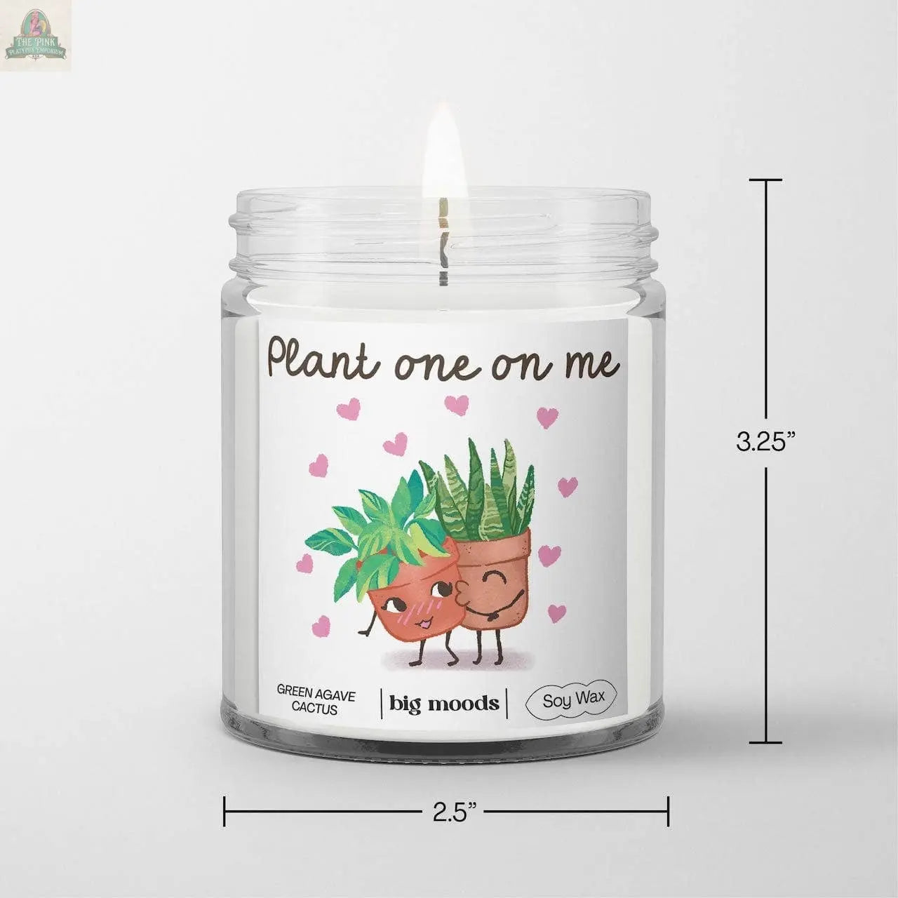 "Plant One On Me" Green Agave Cactus  - 5oz Soy Candle Big Moods
