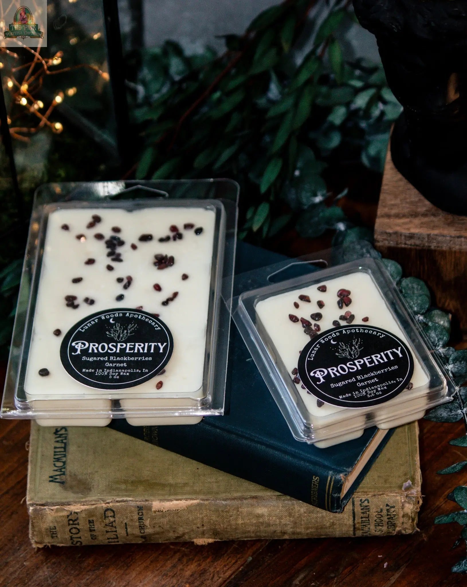 Two packs of Prosperity — Witchy Wax Melts, white and accented with dark seeds, rest on vintage books. Green leaves and soft lighting surround them, capturing the essence of a blackberry abundance blend.