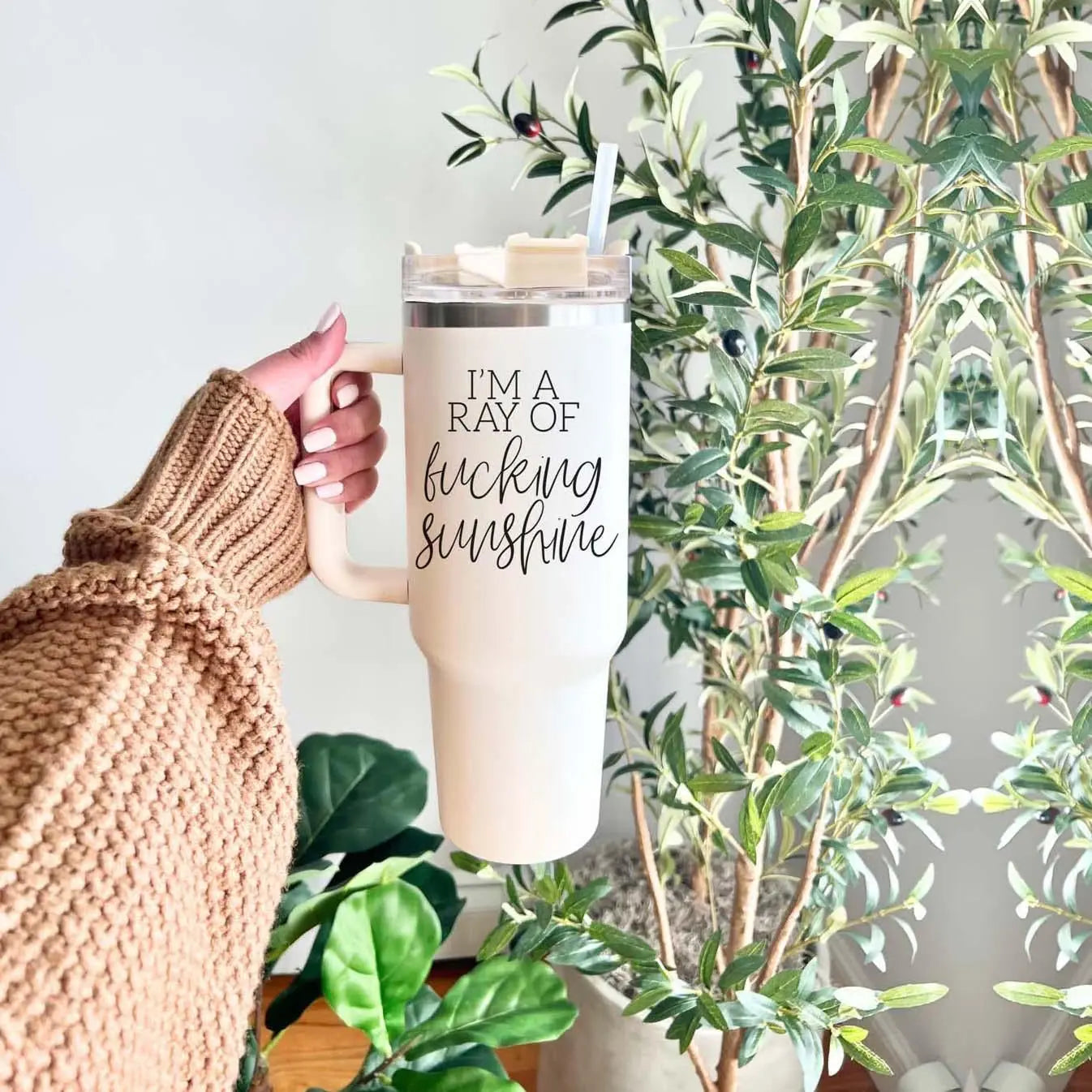 A person in a brown sweater holds the Ray of Sunshine 40oz insulated mug with bold black text in front of lush green indoor plants.