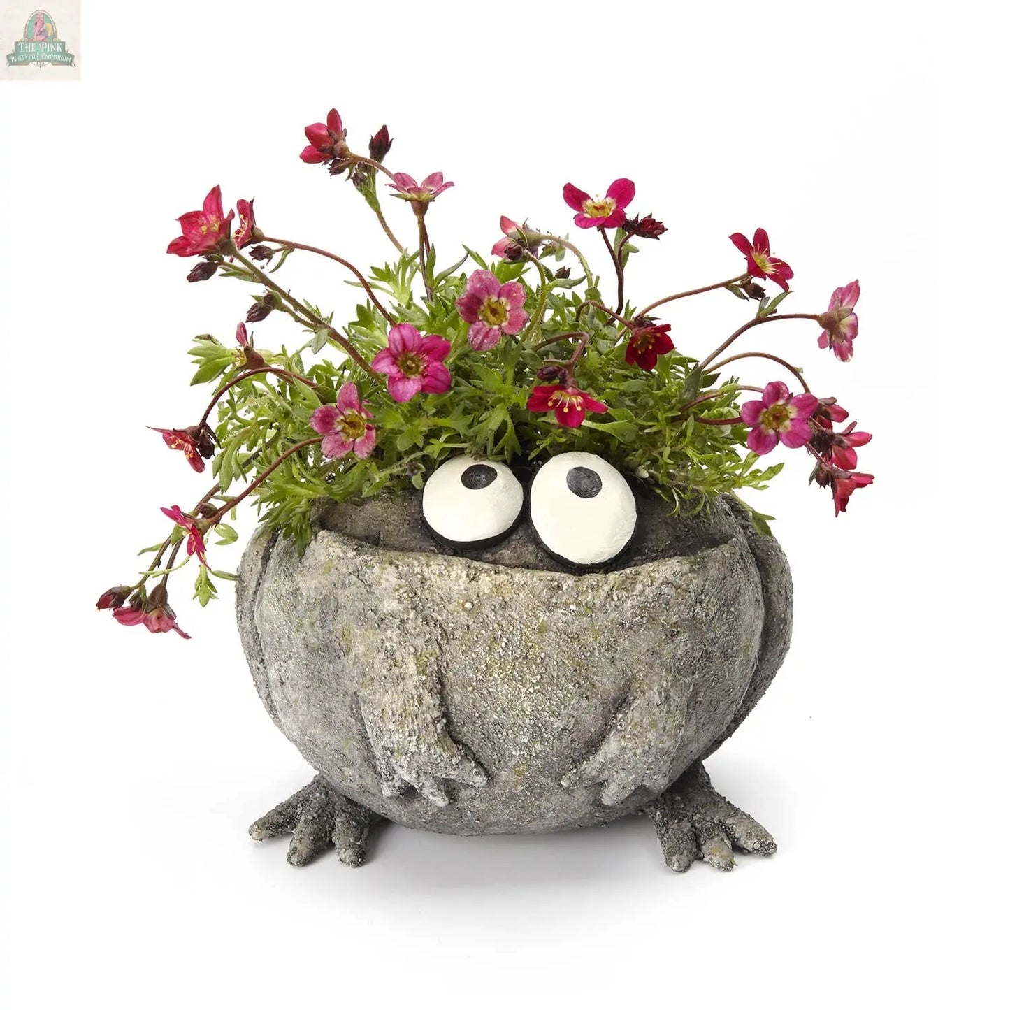 The Pink Platypus Emporium Romeo or Finneas Mini Frog Blobhouse Planter, shaped like a round frog with big eyes and feet, and filled with pink flowers and green foliage, adds charm to any indoor garden against a white backdrop.