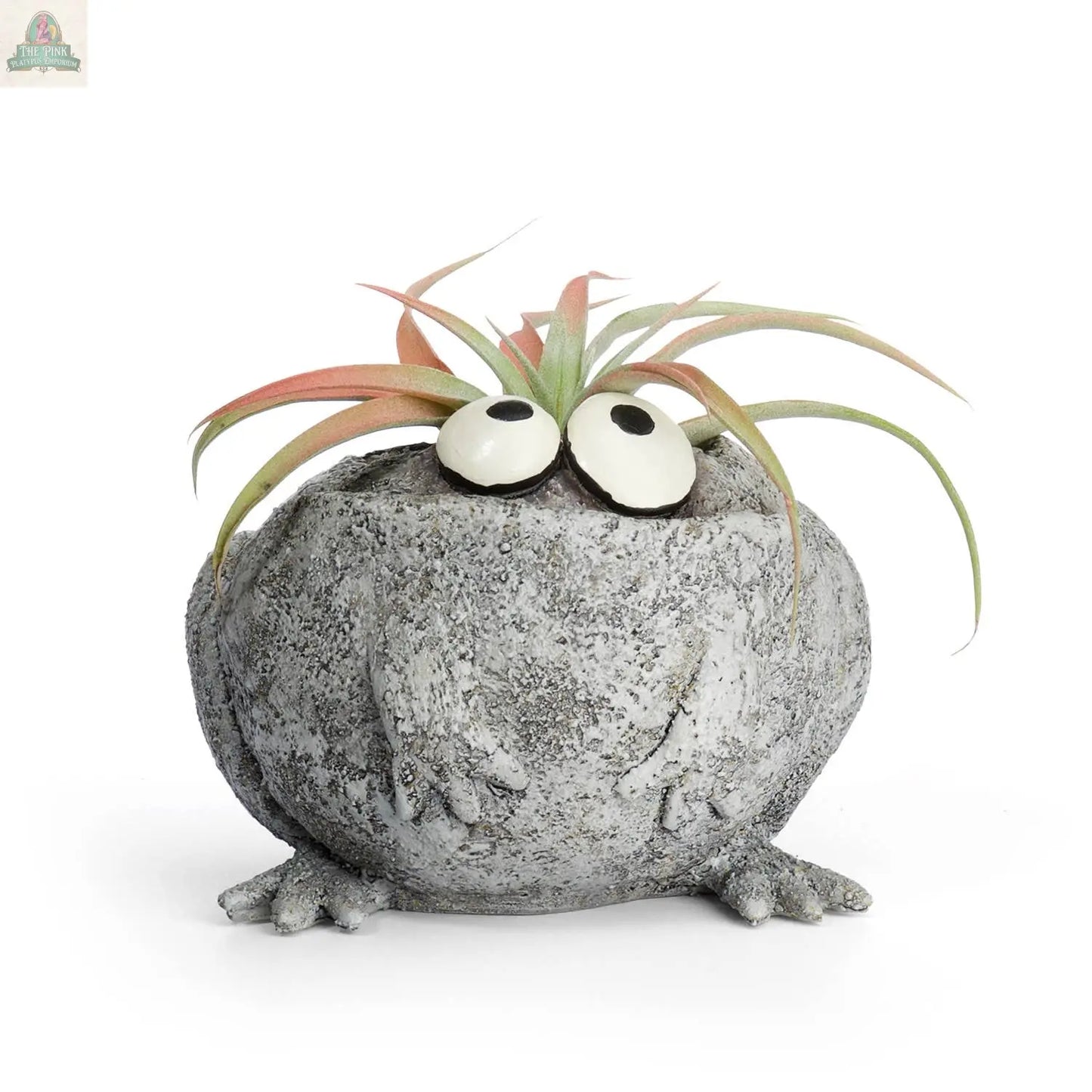 Bring playful charm to your space with the Romeo or Finneas Mini Frog Blobhouse Planter by Pink Platypus Emporium—a round gray frog with big white eyes and feet, featuring a spiky air plant "hairdo" for fun indoor gardening décor.