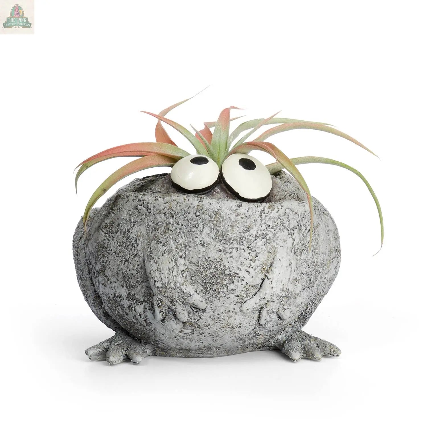 Bring playful charm to your space with the Romeo or Finneas Mini Frog Blobhouse Planter by Pink Platypus Emporium—a round gray frog with big white eyes and feet, featuring a spiky air plant "hairdo" for fun indoor gardening décor.