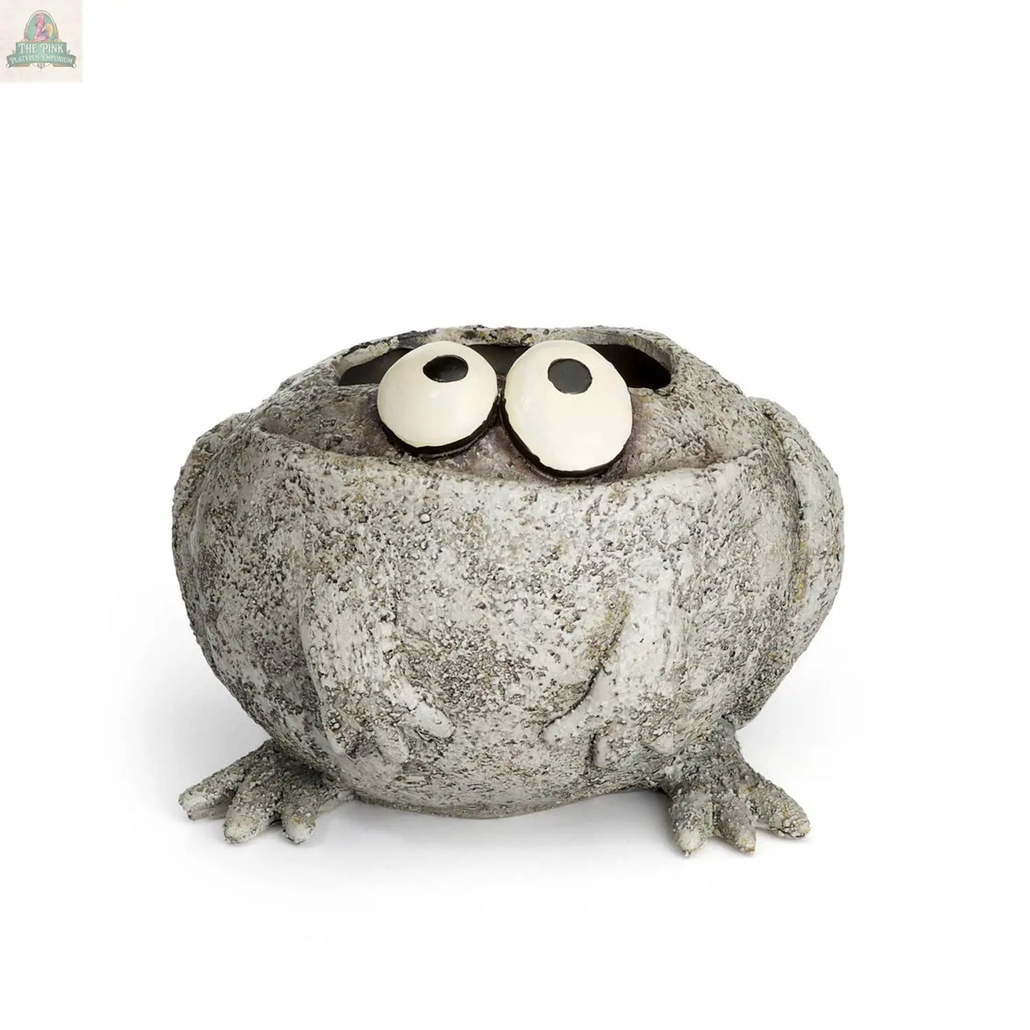 The Pink Platypus Emporium Romeo or Finneas Mini Frog Blobhouse Planter features a round, textured frog with big eyes and splayed feet, perfect for indoor gardening and shown against a plain white background.