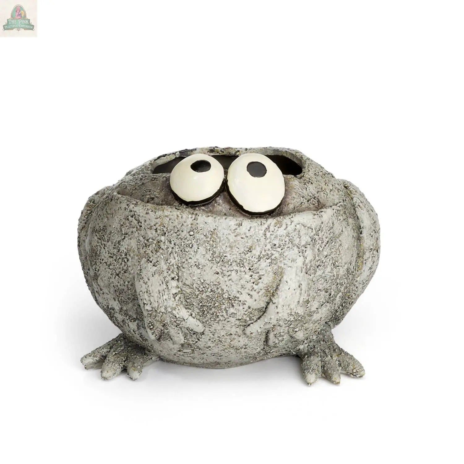The Pink Platypus Emporium Romeo or Finneas Mini Frog Blobhouse Planter features a round, textured frog with big eyes and splayed feet, perfect for indoor gardening and shown against a plain white background.