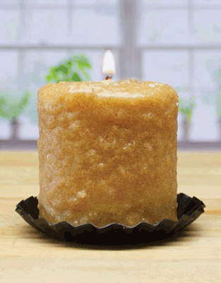 The Salted Caramel Rum Mini Hearth by Pink Platypus Emporium, featuring a lumpy exterior, burns with a small flame on a black ruffled candle holder; green plants and a window are blurred in the background.