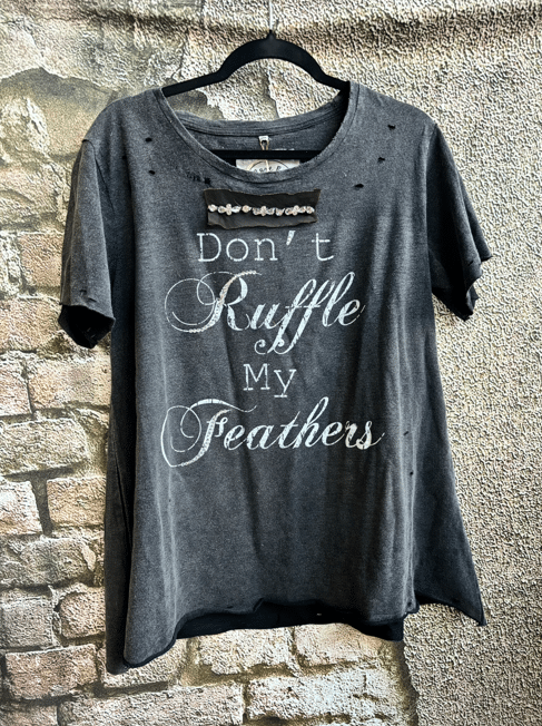 Gray t-shirt with 'Don't Ruffle My Feathers' text on a stone wall background