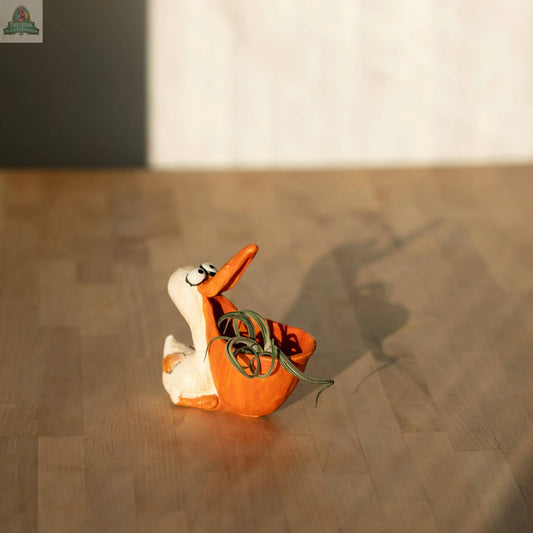 Scuttle the Pelican Planter Pink Platypus Emporium
