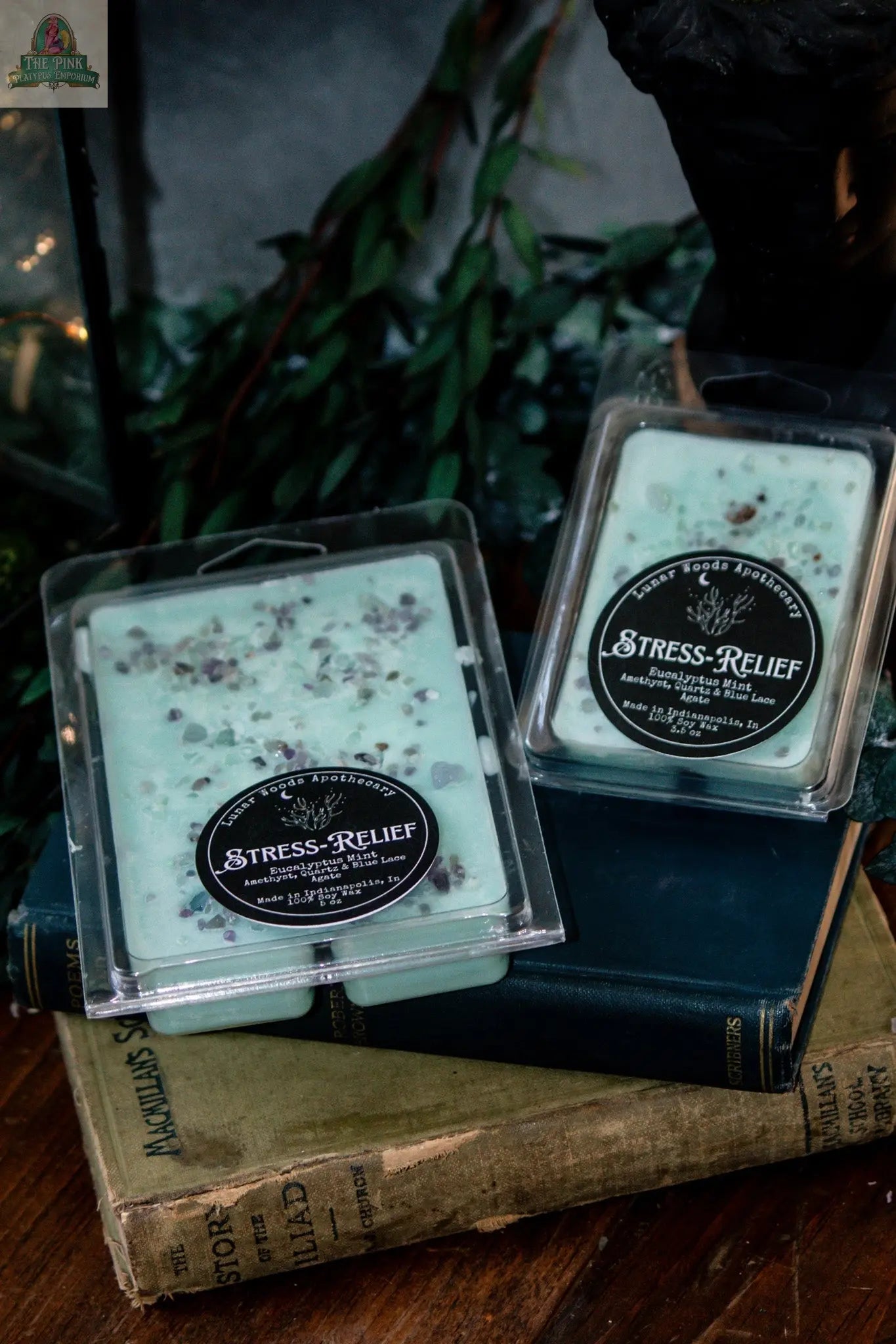 Two packs of Stress-Relief — Witchy Wax Melts in eucalyptus mint rest atop stacked vintage books, with hints of lavender and mint. Greenery and a dark decor accent complete the scene—ideal for your wax warmer routine.