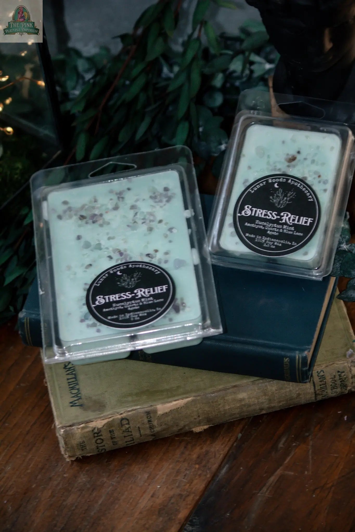 Two packs of Stress-Relief — Witchy Wax Melts in mint-green eucalyptus mint, speckled with herbs, rest on stacked books among green foliage—ideal for your favorite wax warmer.
