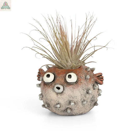 Sushi Blow Fish Blobhouse Planter Pink Platypus Emporium