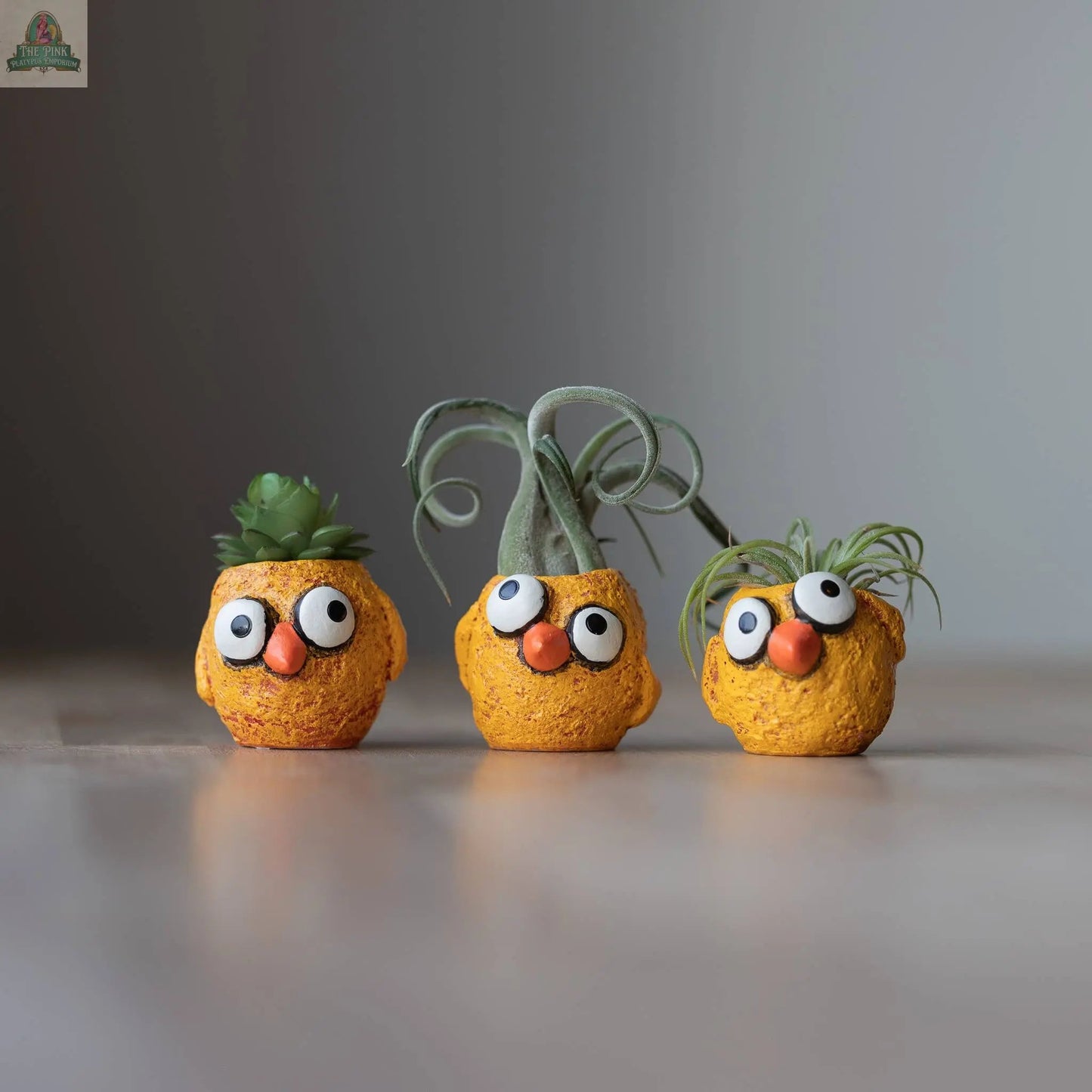 The Chickies - 3 piece Baby Chick Blobhouse Planters, featuring small, round yellow planters with googly eyes and orange noses, each with a unique succulent, are lined up on a wooden surface against a neutral background.
