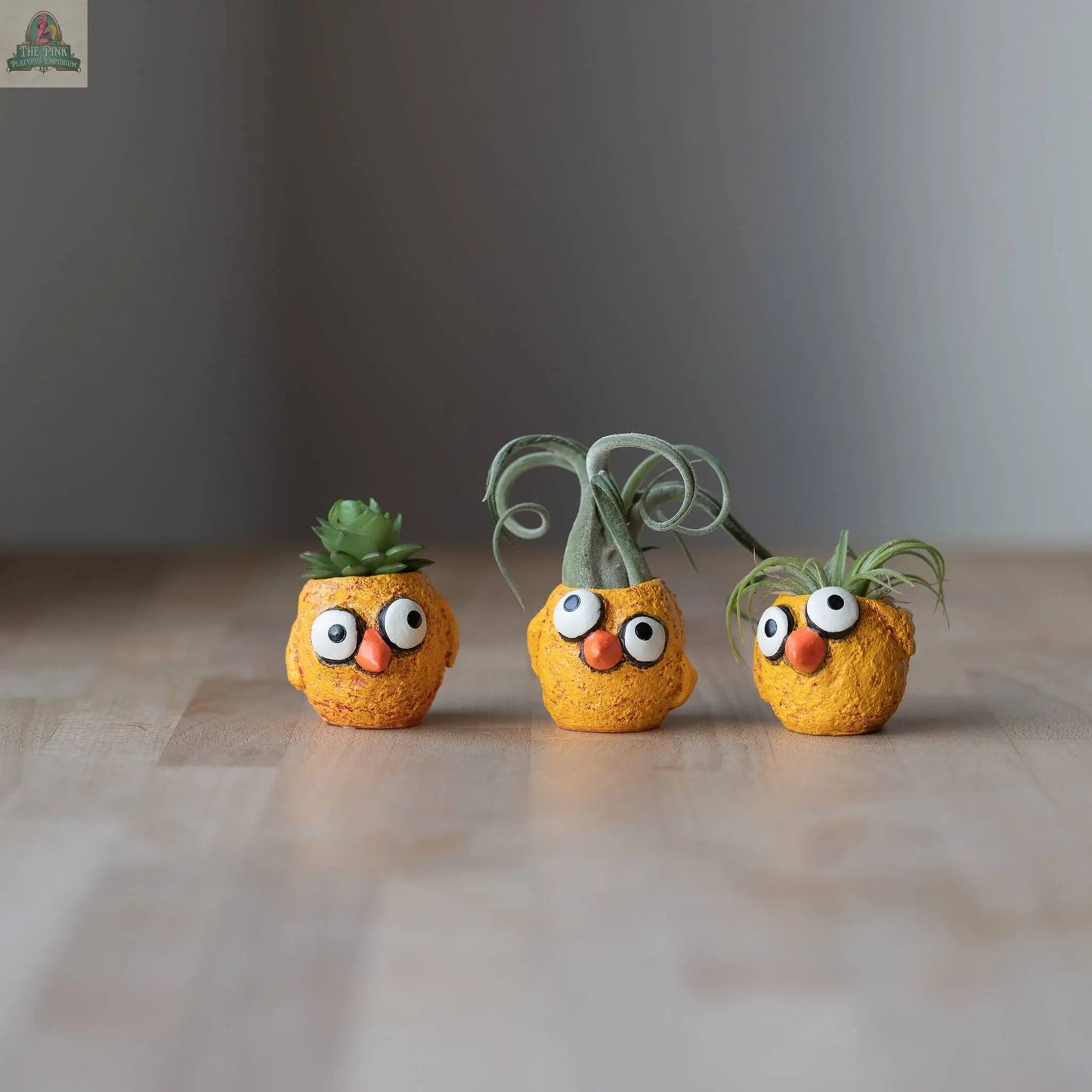 The Chickies - 3 piece - Baby Chick Blobhouse Planters feature quirky orange chicks with googly eyes and red noses, each holding a different succulent or air plant, displayed on a wooden surface against a plain background.