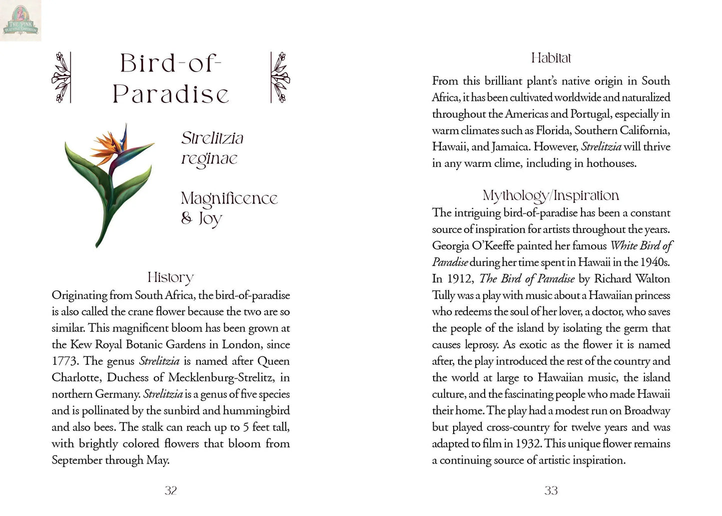 A book spread presents text on the Bird-of-Paradise's history, habitat, and cultural impact next to an illustration of its orange and blue bloom, similar to those in REDFeather's The Flowerwise Oracle botanical cards.