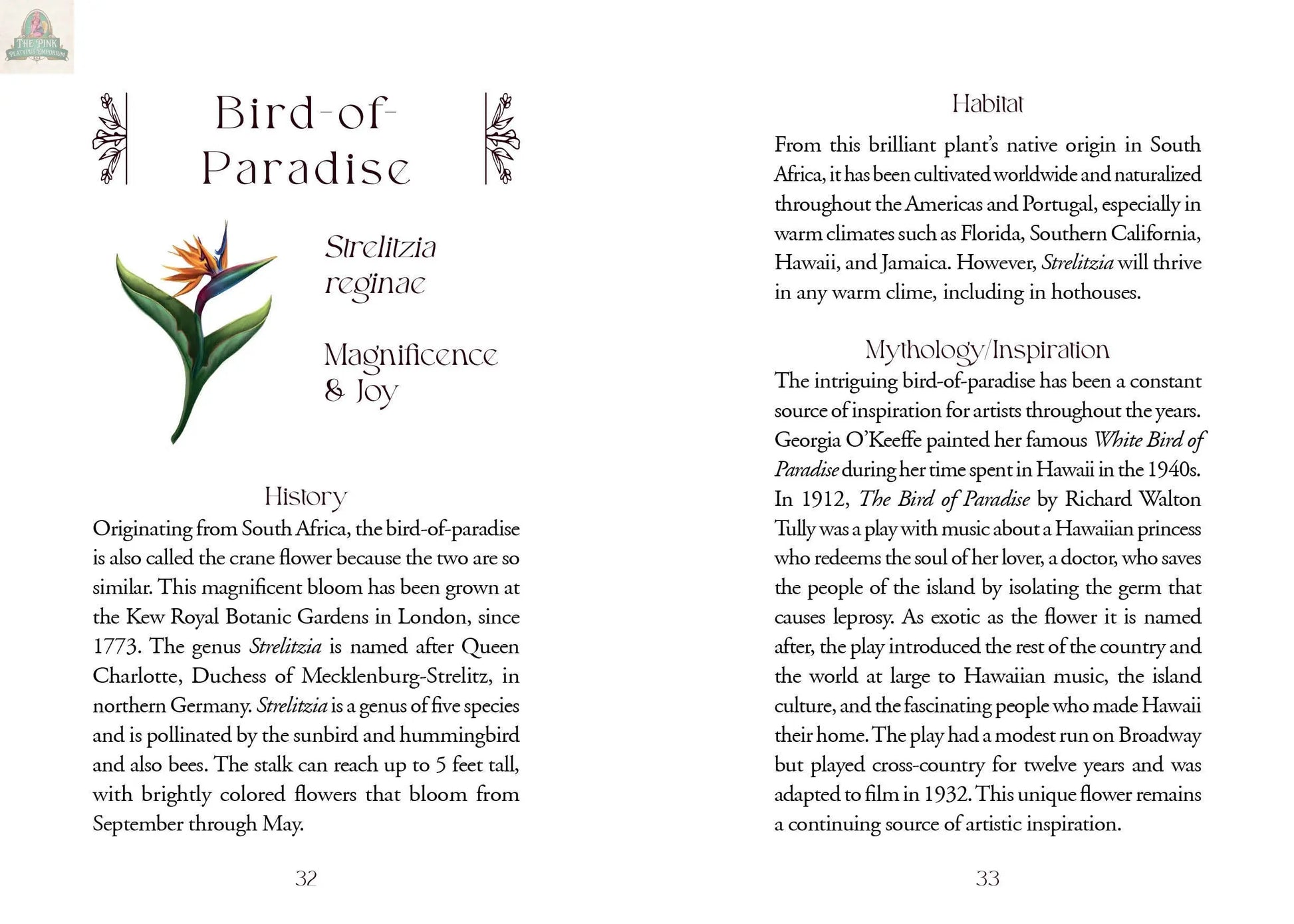 A book spread presents text on the Bird-of-Paradise's history, habitat, and cultural impact next to an illustration of its orange and blue bloom, similar to those in REDFeather's The Flowerwise Oracle botanical cards.