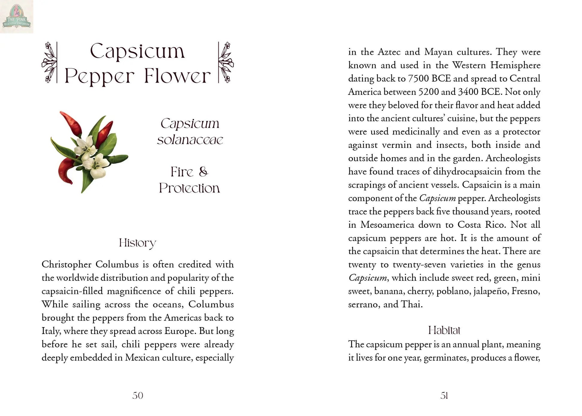 Two pages from The Flowerwise Oracle by REDFeather focus on Capsicum Pepper Flower: the left shows an illustration and history; the right, styled like a botanical oracle card, provides details and lists pepper types for flower divination.