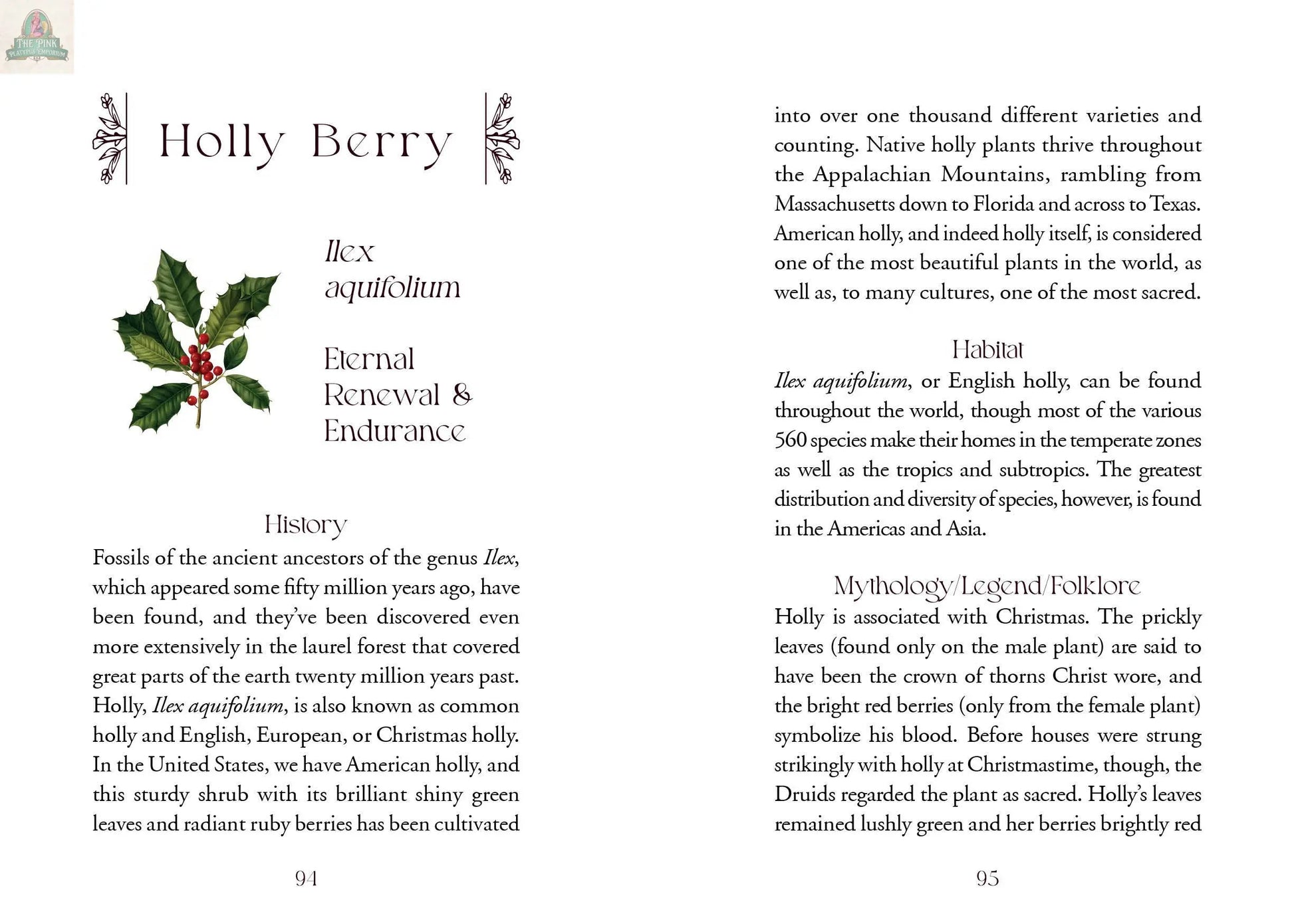 The Flowerwise Oracle by REDFeather features a book spread on Holly Berry (Ilex aquifolium), including its history, habitat, mythology, and uses, illustrated with green holly leaves and red berries.