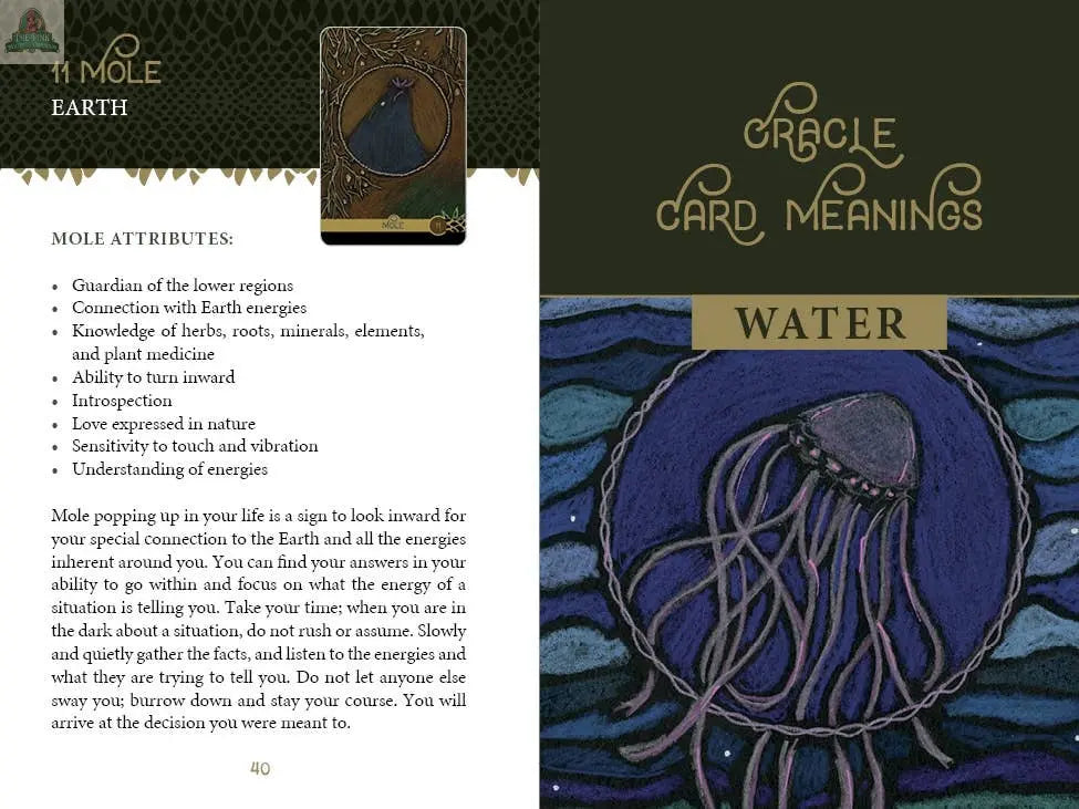 The Wild Elemental Oracle REDFeather