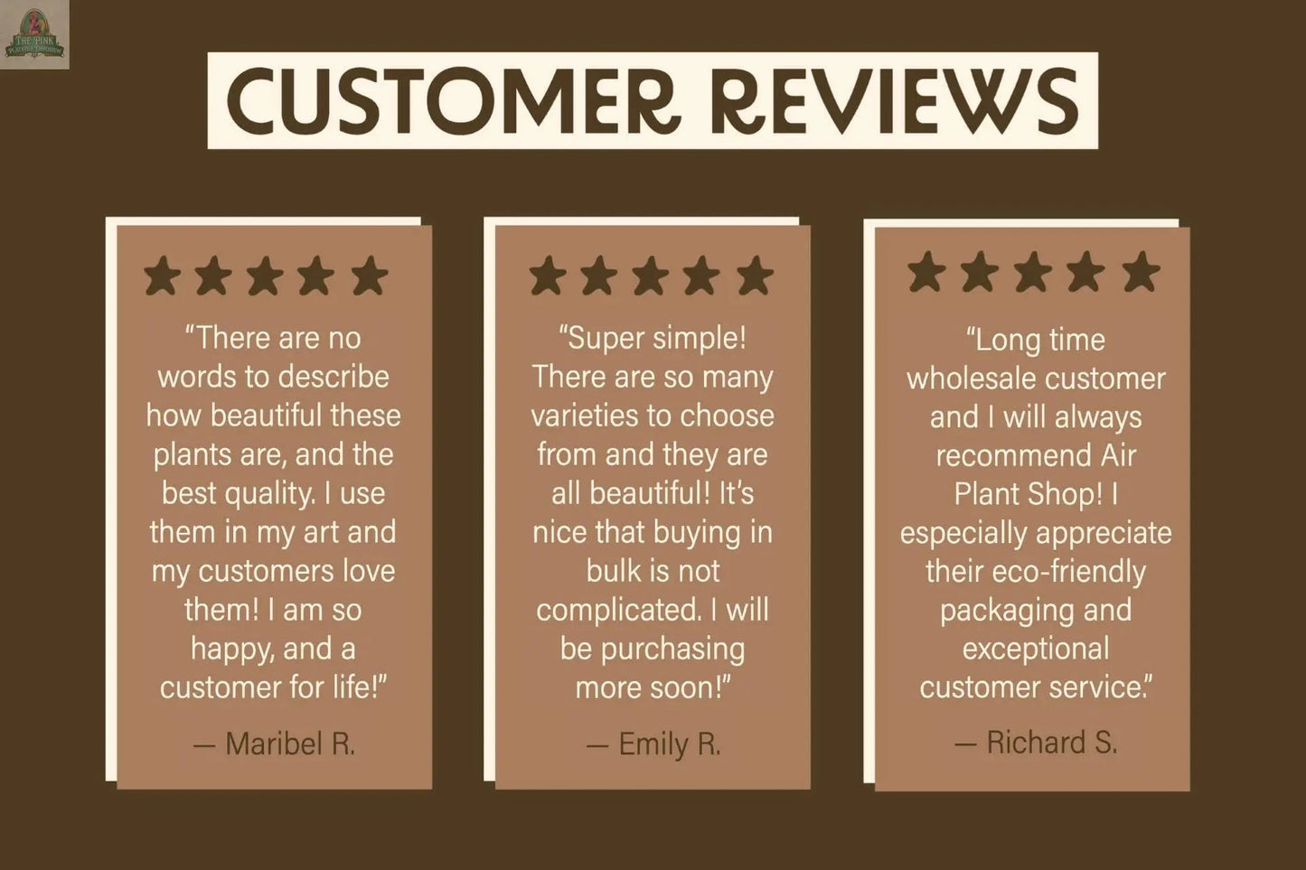 A brown graphic titled Customer Reviews shows three five-star testimonials for Wine Cork Magnets with Tillandsia Ionantha Air Plants, highlighting plant quality, eco packaging, unique gifts, and service from Maribel R., Emily R., and Richard S.