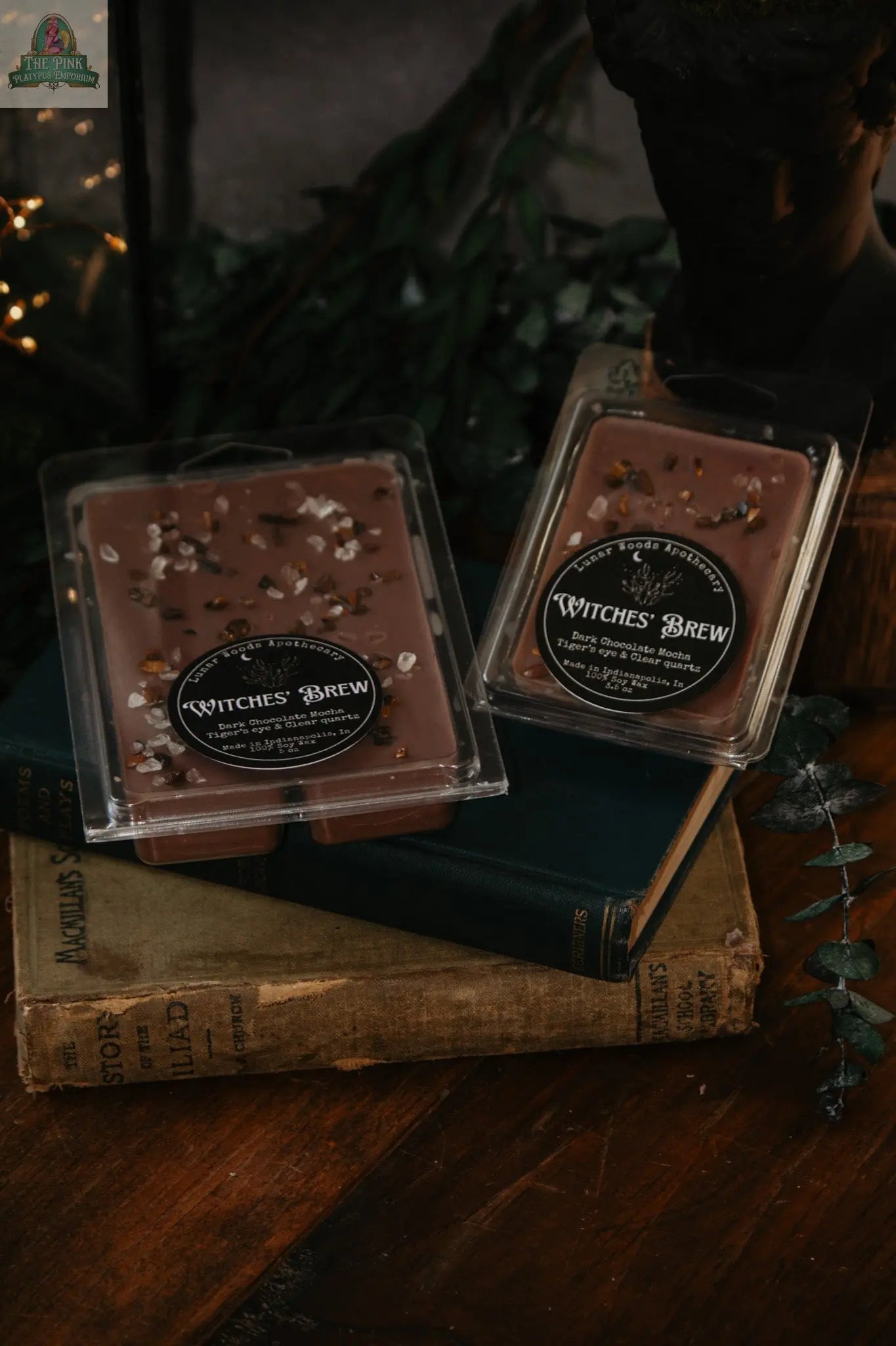 Two packs of Witches' Brew — Witchy Wax Melts, featuring dark chocolate-brown wax topped with herbs, are displayed on vintage books amidst greenery and a dark statue for a mystical, moody vibe—ideal for your wax warmer.
