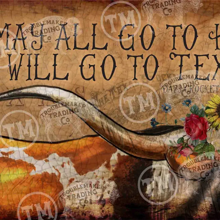 Texas wall art with text and floral elements on a textured background