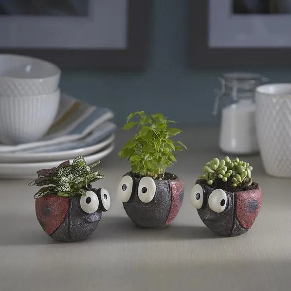 Set of 3 Ladybug Blobhouse Planters