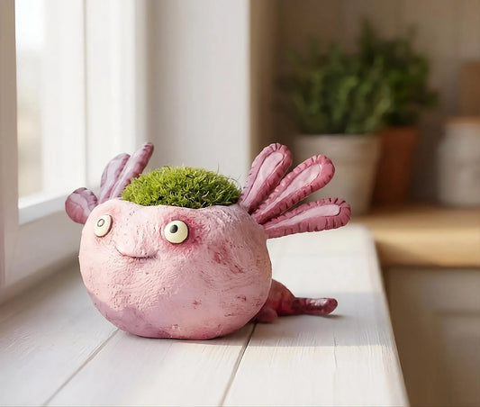 Alexander Axolotl Baby Salamander Blobhouse Plants