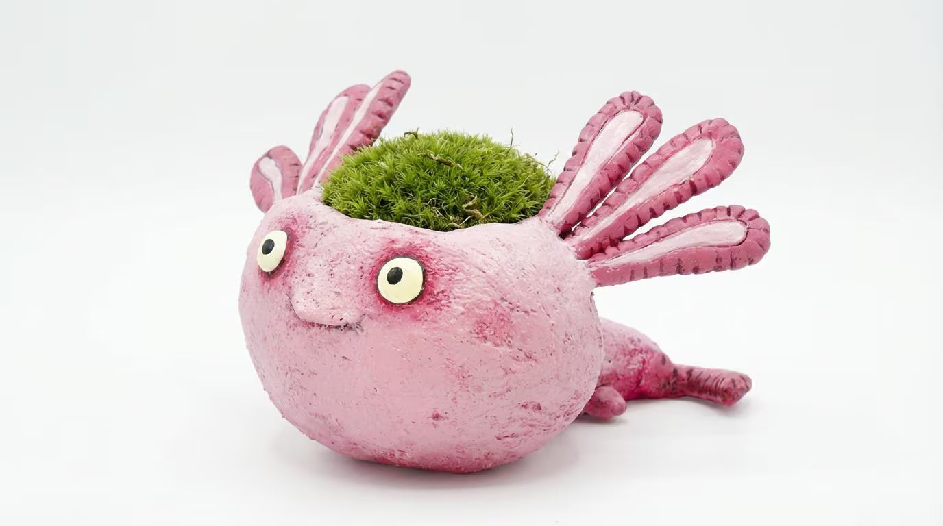 Alexander Axolotl Baby Salamander Blobhouse Plants