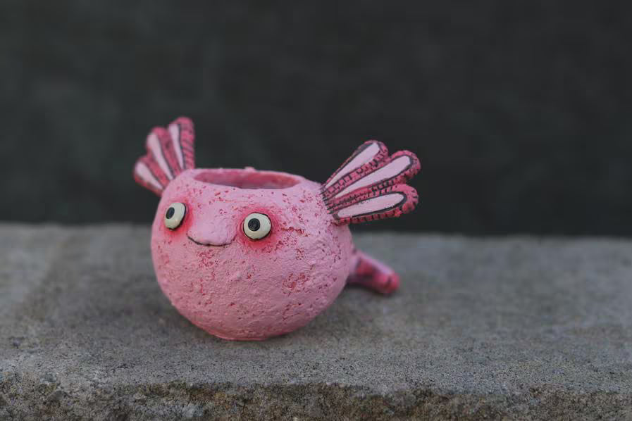 Alexander Axolotl Baby Salamander Blobhouse Plants