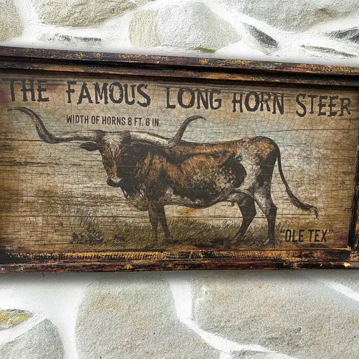 Farmhouse wall decor with illustration of a longhorn steer and text on a stone background