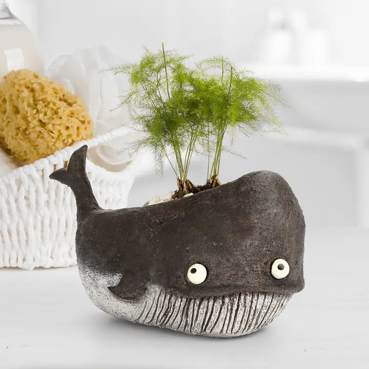 whale succulent pot Blobhouse, Goliath The Whale Planter Polystone / Georgetown Home & Garden / Gray