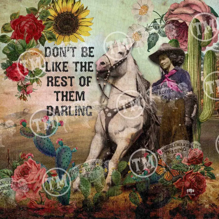 Collage with horse, cactus, and text 'Don't be like the rest of them darling' on a colorful background.