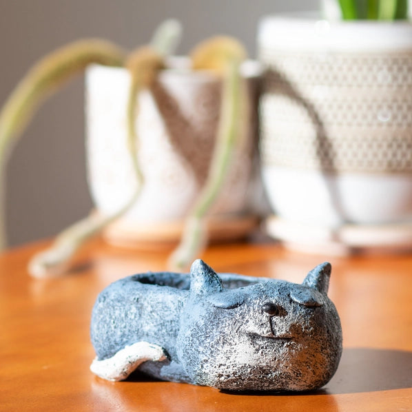 Blue Sleeping Cat Blobhouse Planter