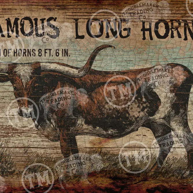 Vintage-style farmhouse wall decor of a longhorn bull with text on a wooden background