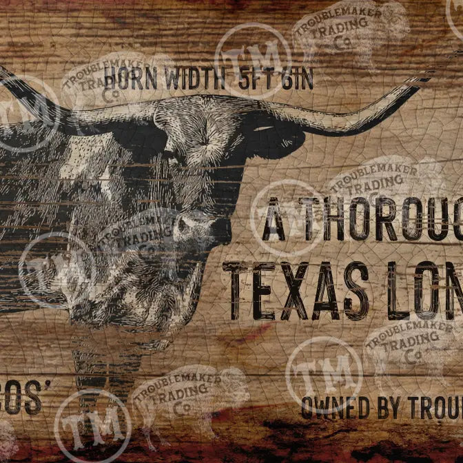 western wall decor with a longhorn steer illustration and text about Texas longhorns.