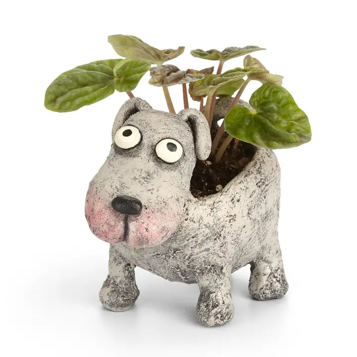 Dog-shaped planter with a plant on a white background