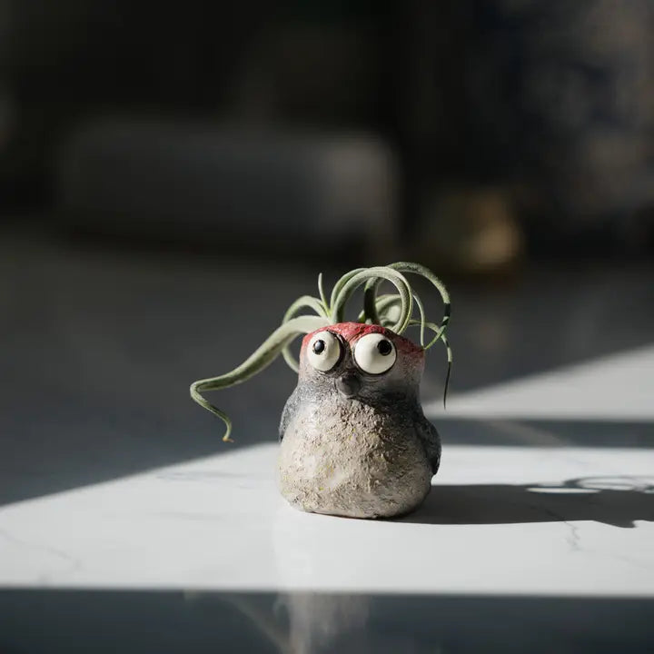 bird-shaped planter with a plant on its head on a reflective surface