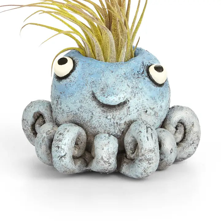 Inky Octopus Blobhouse Planter