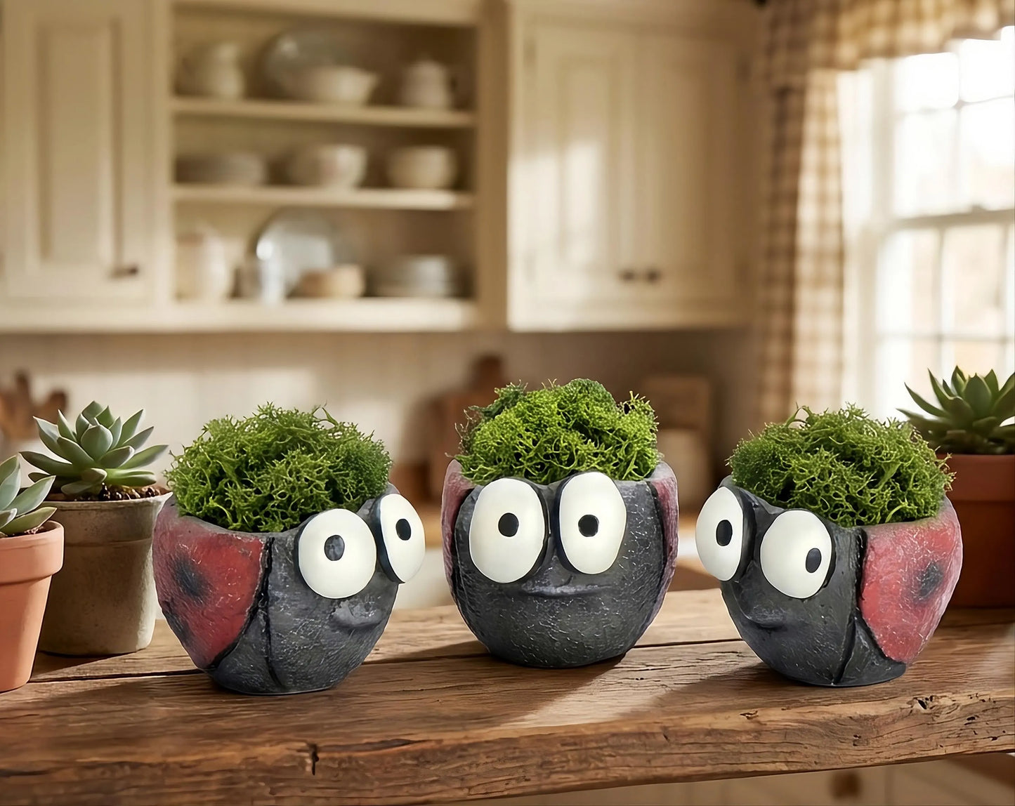 Set of 3 Ladybug Blobhouse Planters