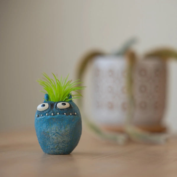 Bloomies Murphy Blobhouse Planter - Blue
