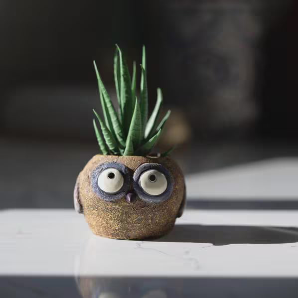 Olive the Owl Blobhouse Planter