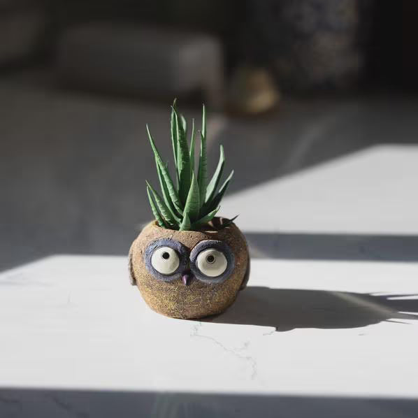 Olive the Owl Blobhouse Planter