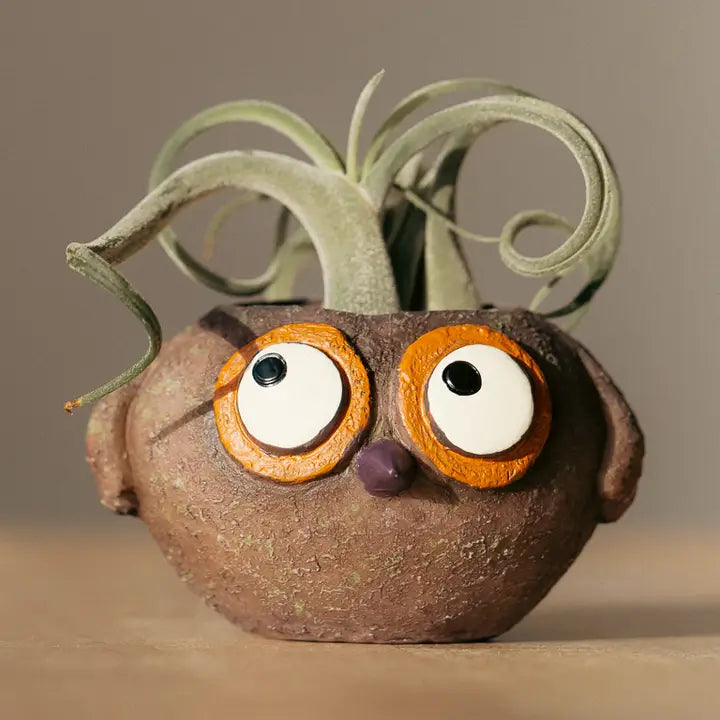 Baby Brown Owl - Owen - Mini Blobhouse Planter