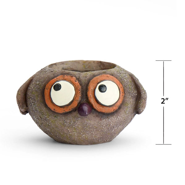 Baby Brown Owl - Owen - Mini Blobhouse Planter