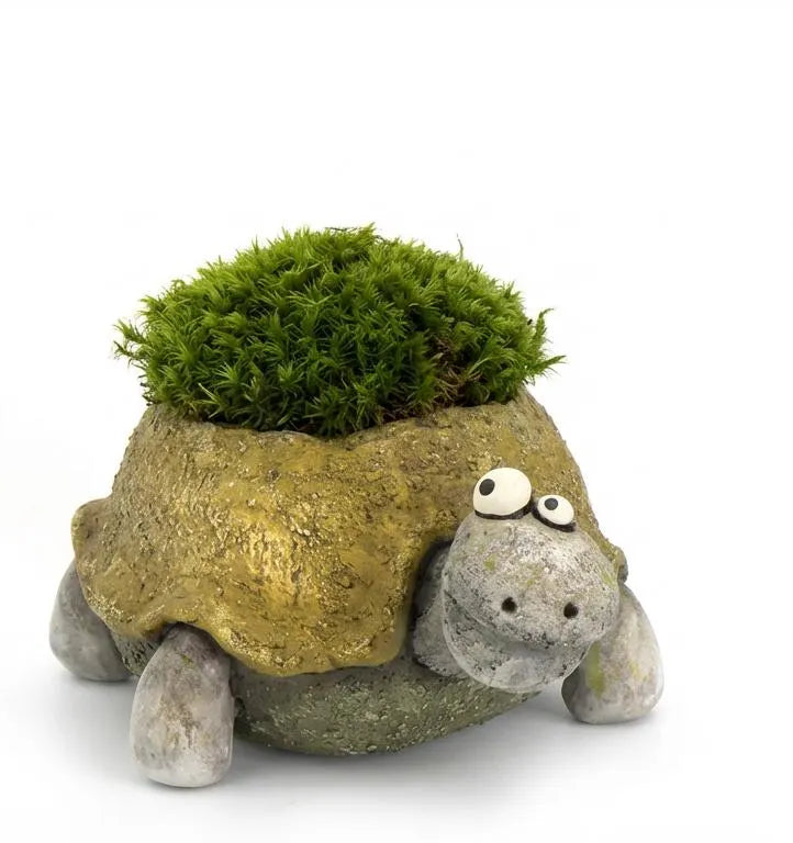 Pogo the Tortoise Blobhouse Planter
