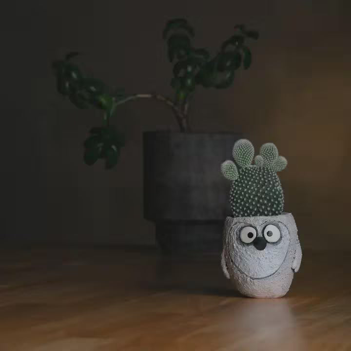 Flurry the Snowy Owl Blobhouse Planter