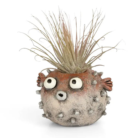 Sushi Blow Fish Blobhouse Planter